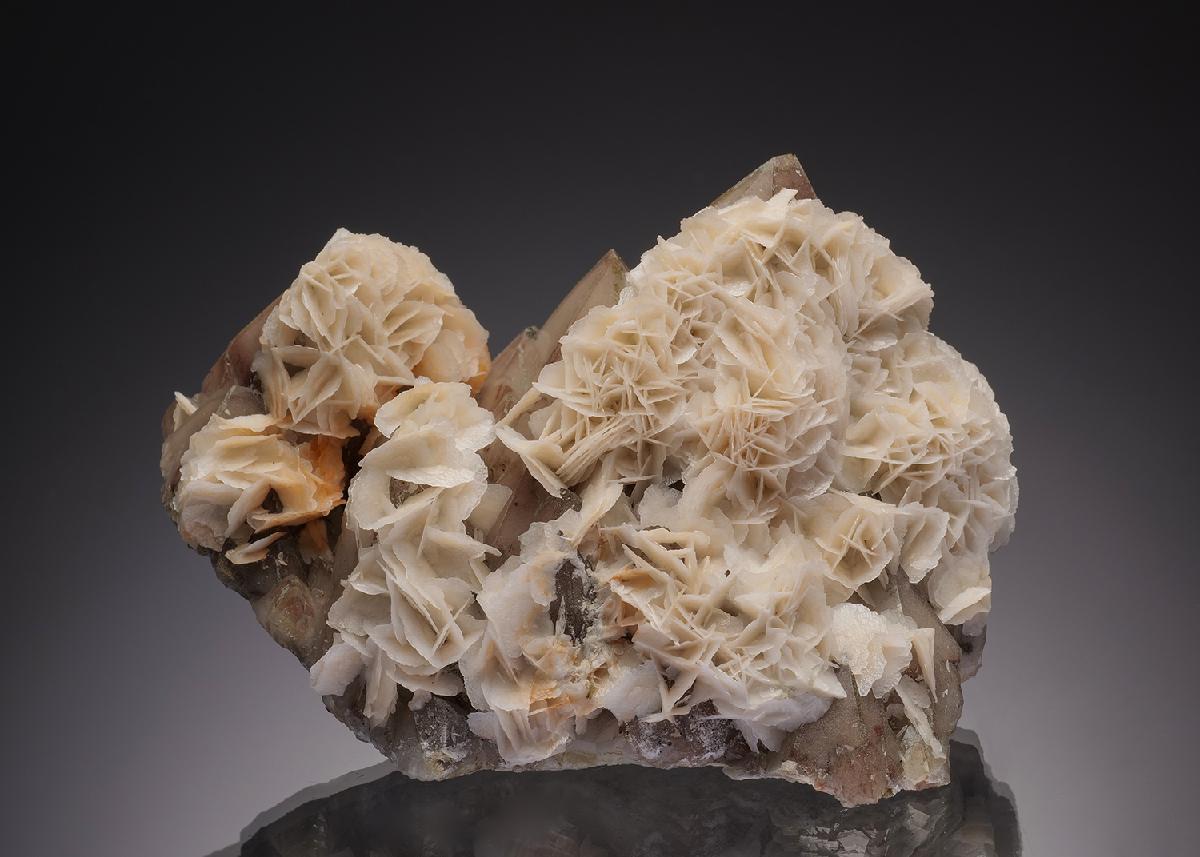 CC32812 specimen image