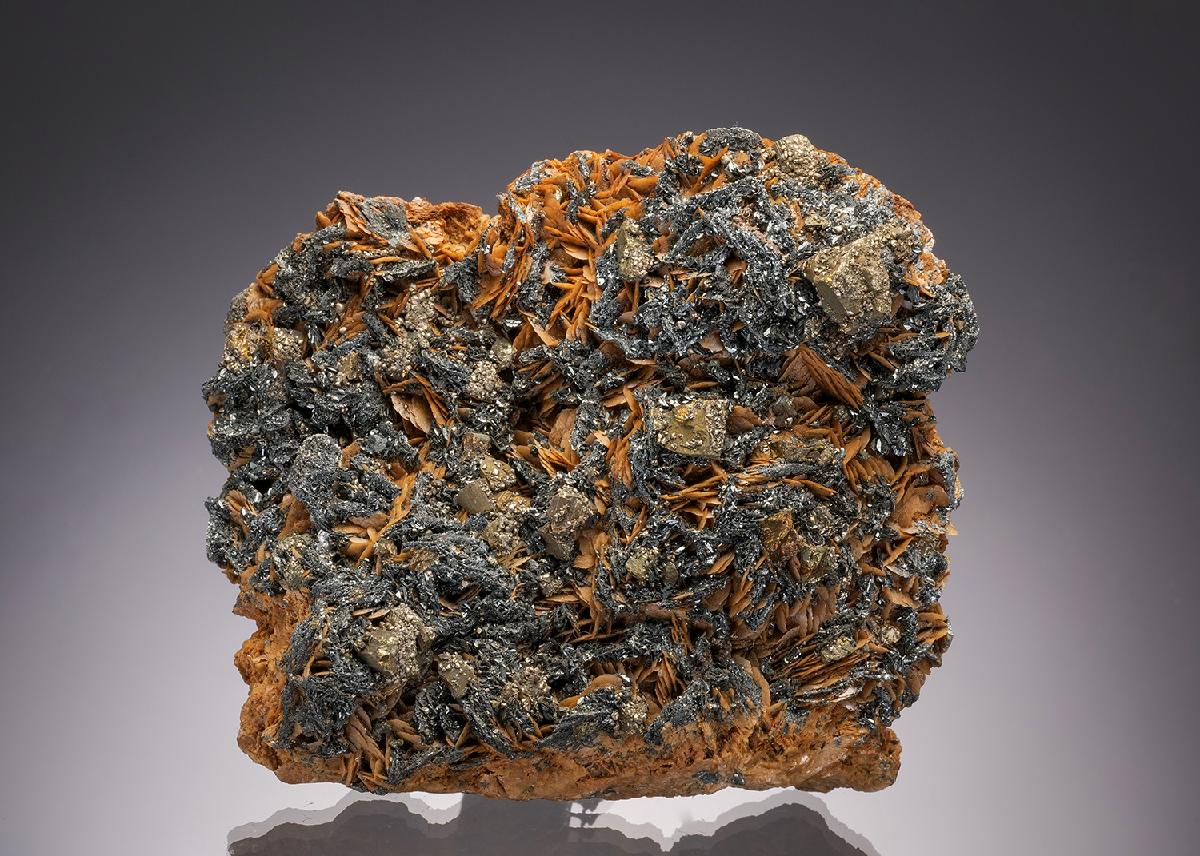 CC32815 specimen image