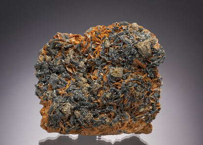 CC32815 specimen image