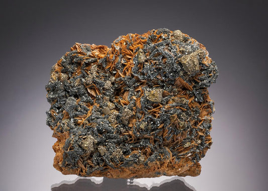 CC32815 specimen image