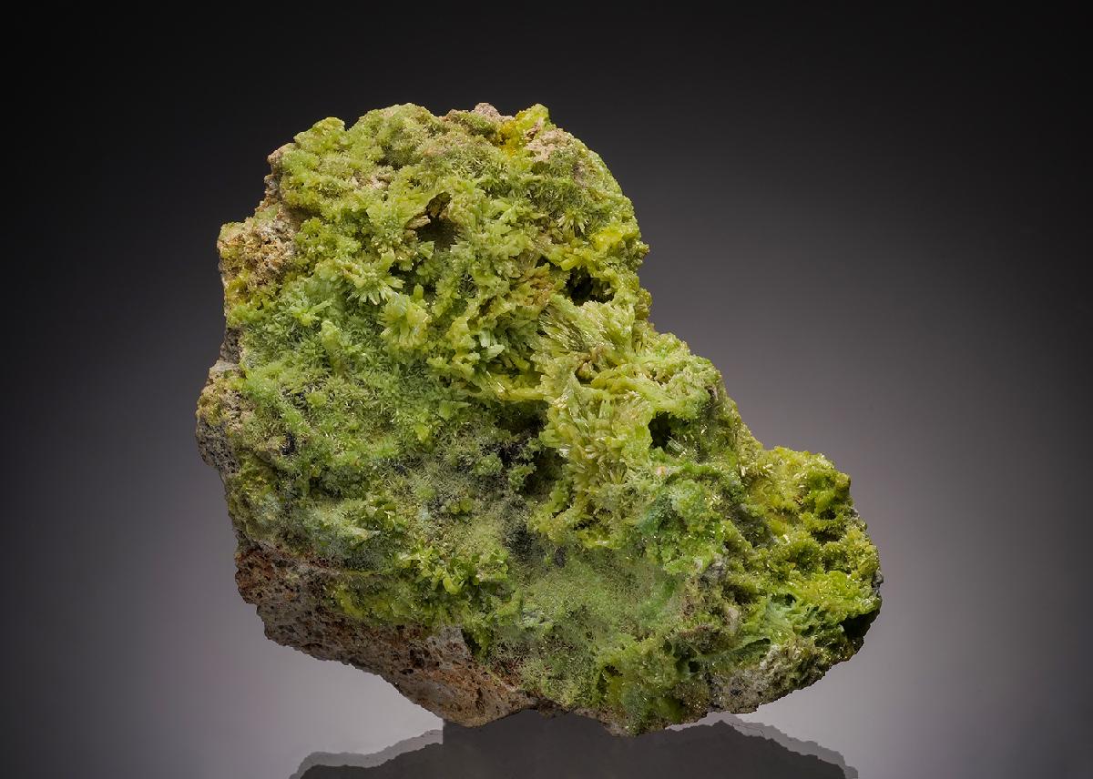 CC32830 specimen image