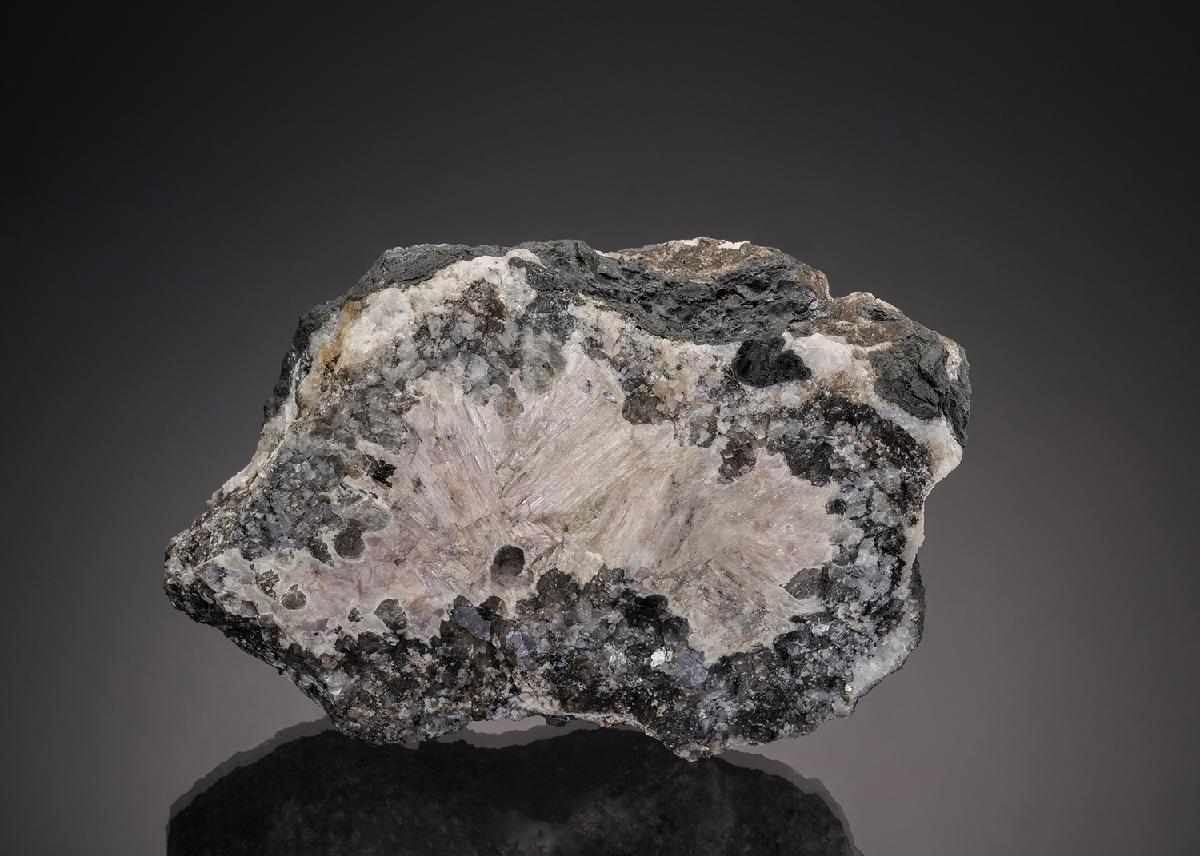 CC32851 specimen image