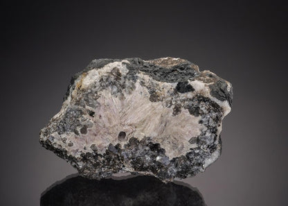 CC32851 specimen image
