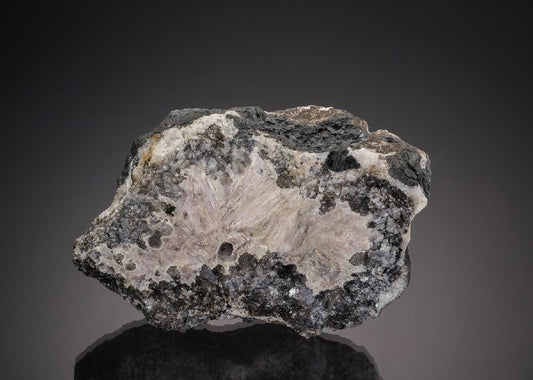CC32851 specimen image
