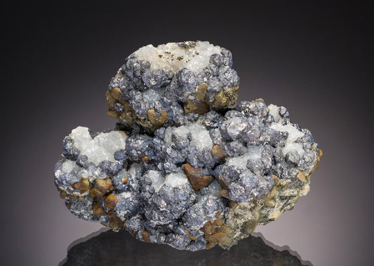 CC32902 specimen image