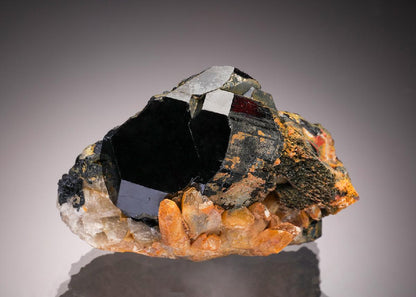 CC32929 specimen image