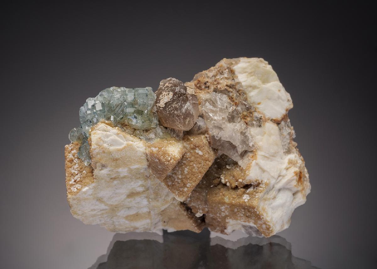CC32941 specimen image