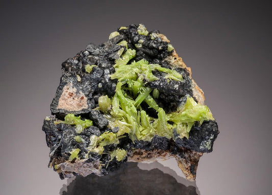 CC32959 specimen image