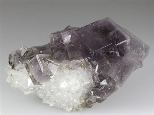 CC3300 specimen image