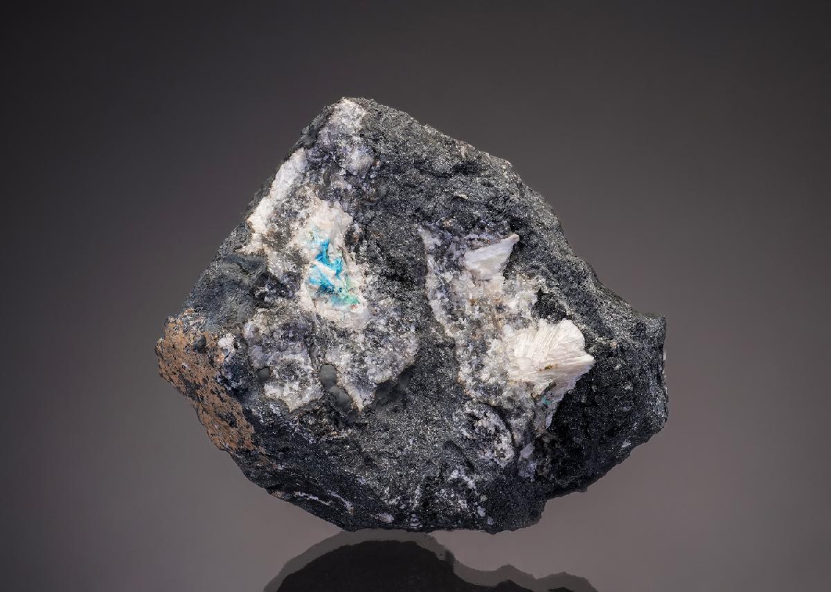 CC33037 specimen image