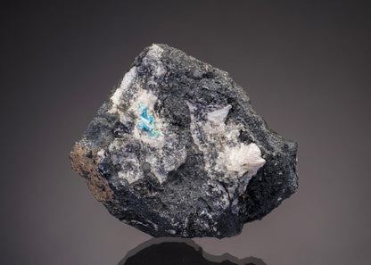 CC33037 specimen image