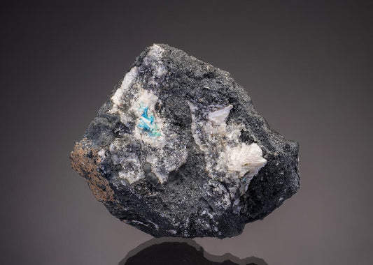 CC33037 specimen image