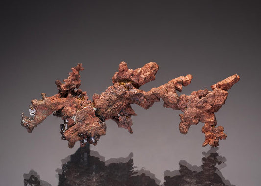 CC33040 specimen image