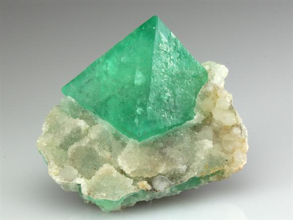 CC3310 specimen image