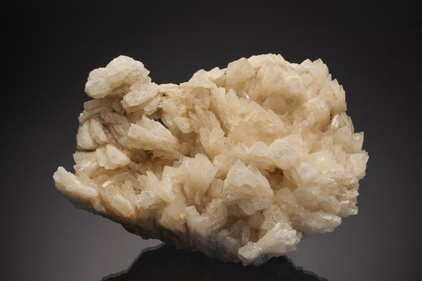 CC33100 specimen image