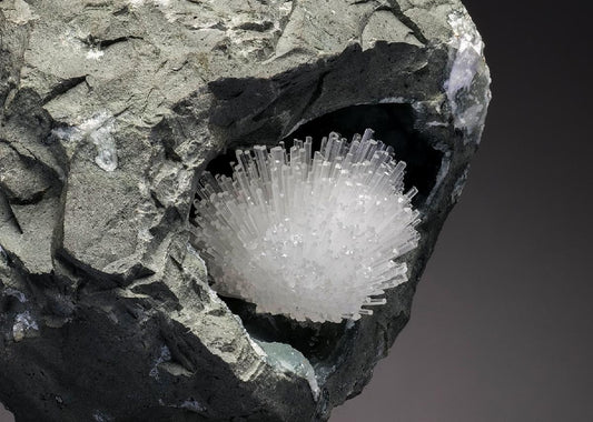 CC33136 specimen image