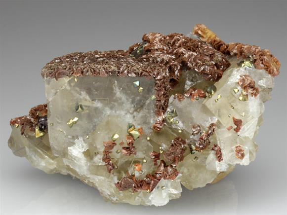 CC3318 specimen image