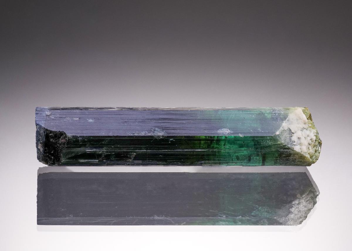 CC33193 specimen image