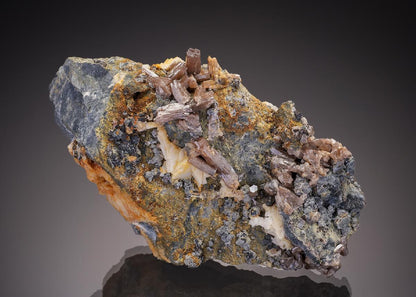 CC33229 specimen image