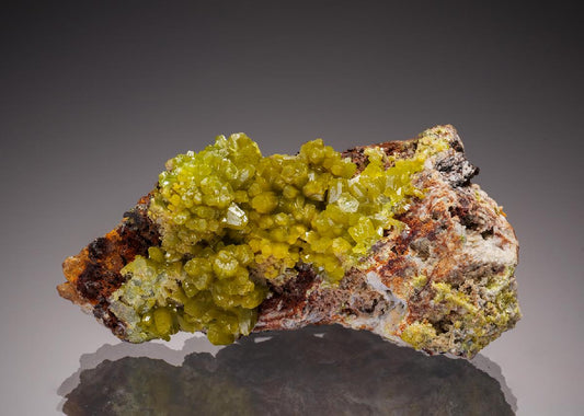 CC33241 specimen image