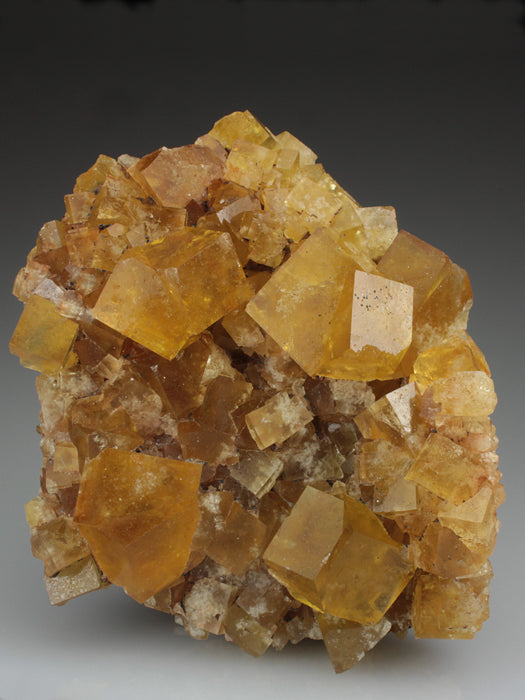 CC3325 specimen image