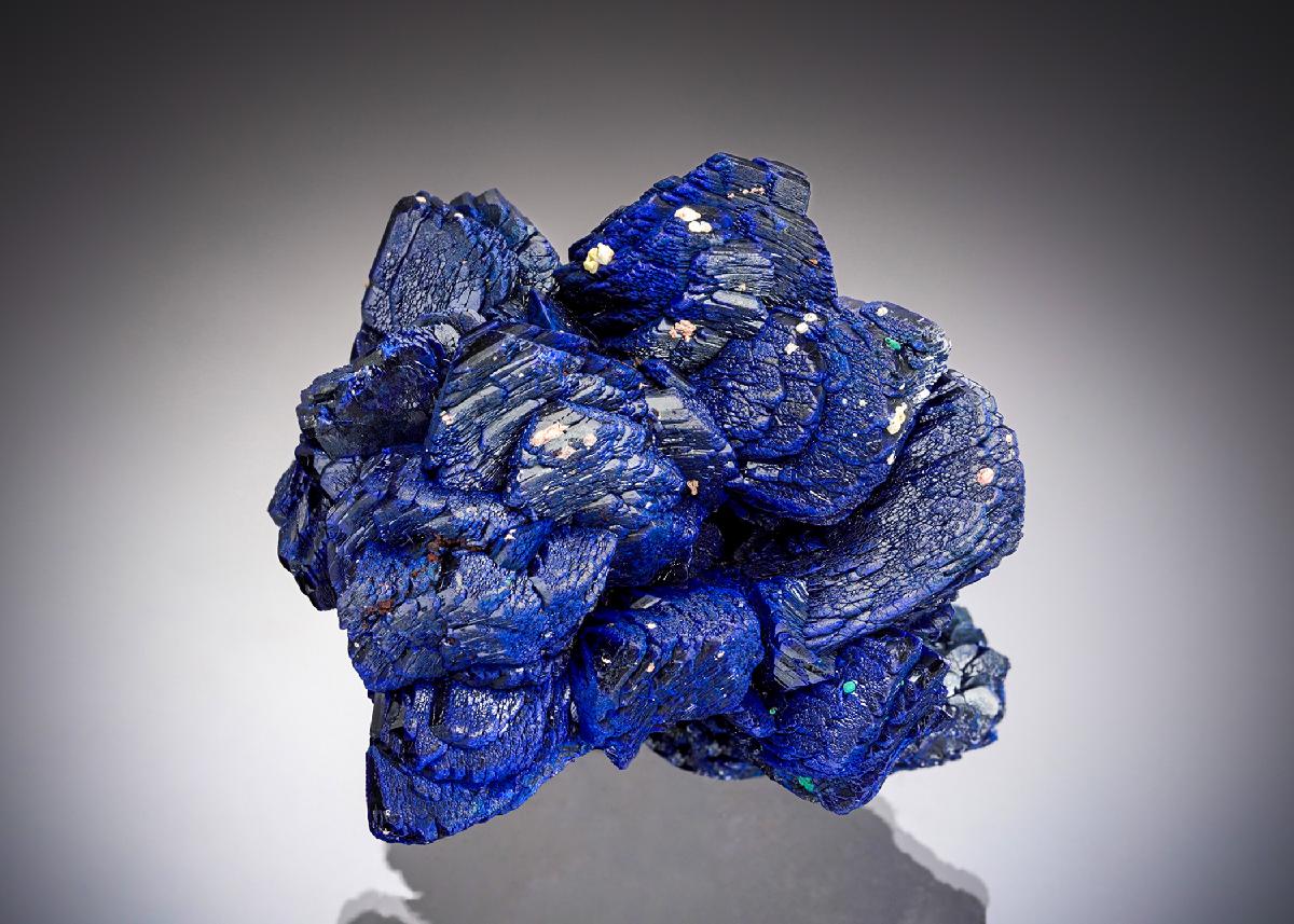 CC33278 specimen image