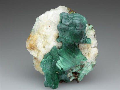 CC3330 specimen image