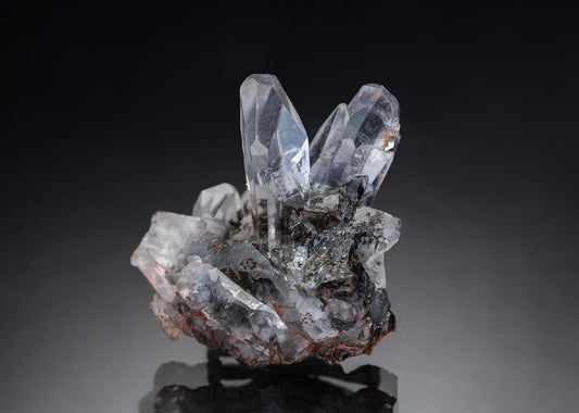CC33407 specimen image
