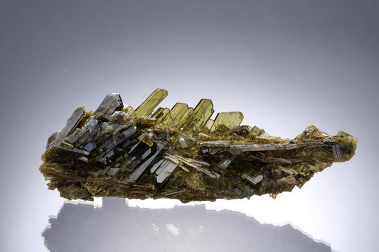 CC33431 specimen image
