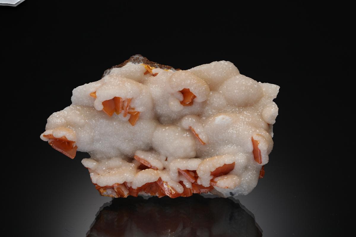CC33449 specimen image