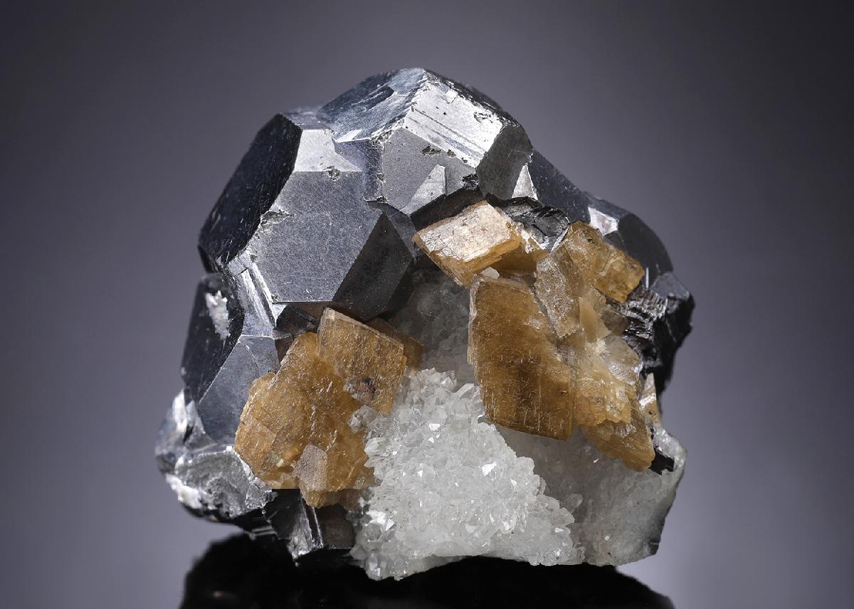 CC33456 specimen image