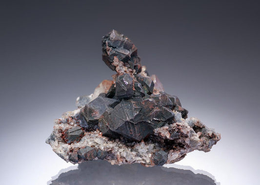 CC33477 specimen image