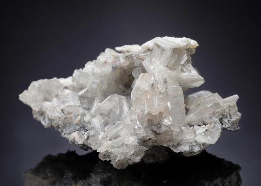 CC33479 specimen image