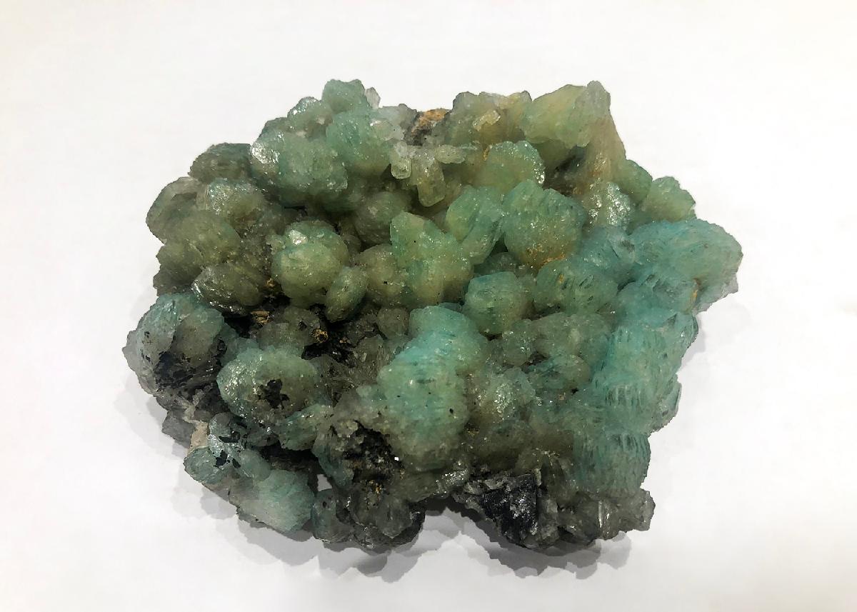 CC33555 specimen image