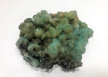 CC33555 specimen image