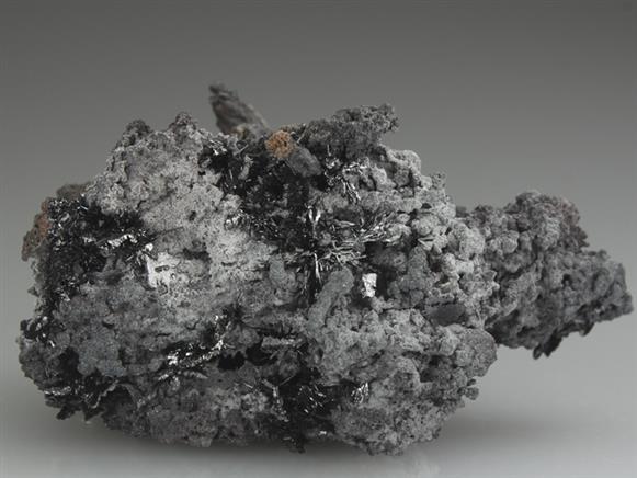 CC3384 specimen image