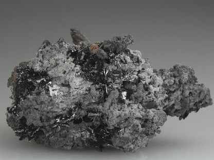 CC3384 specimen image