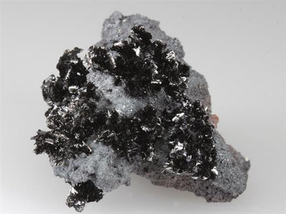 CC3385 specimen image