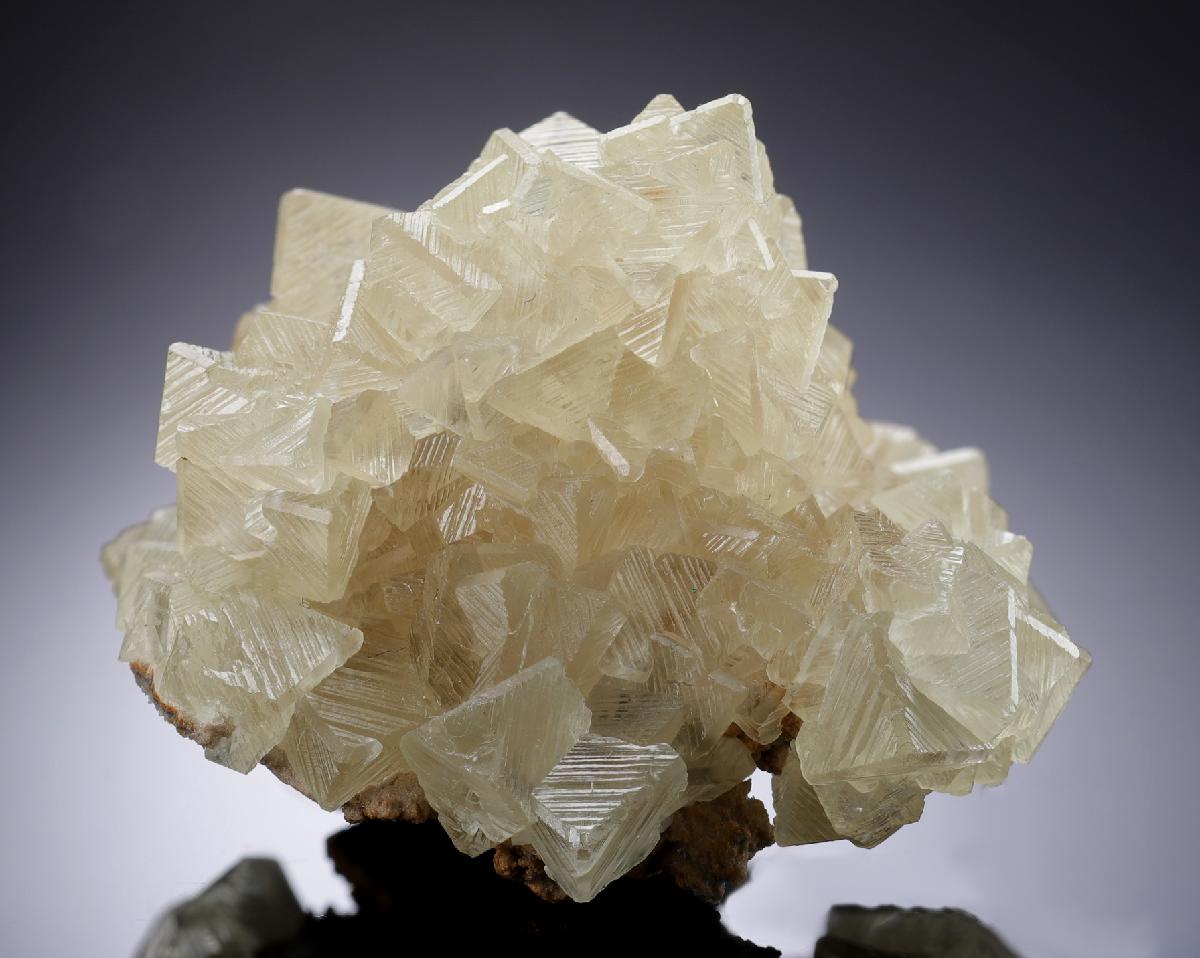 CC33915 specimen image