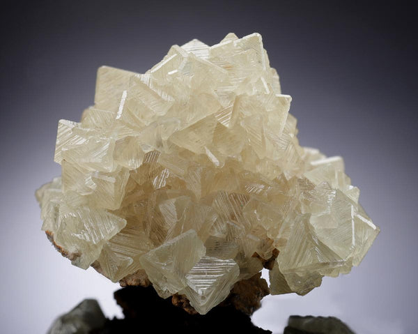 CC33915 specimen image