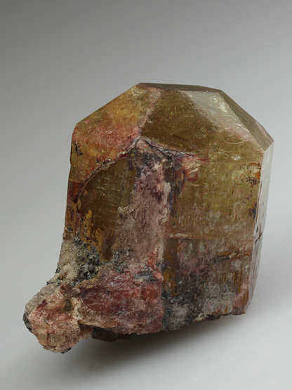 CC3392 specimen image
