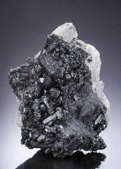 CC34002 specimen image