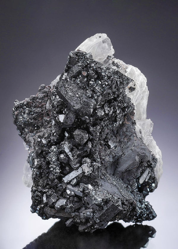 CC34002 specimen image
