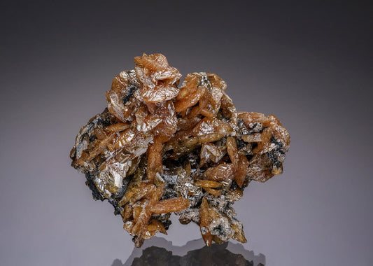 CC34047 specimen image
