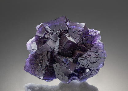 CC34238 specimen image