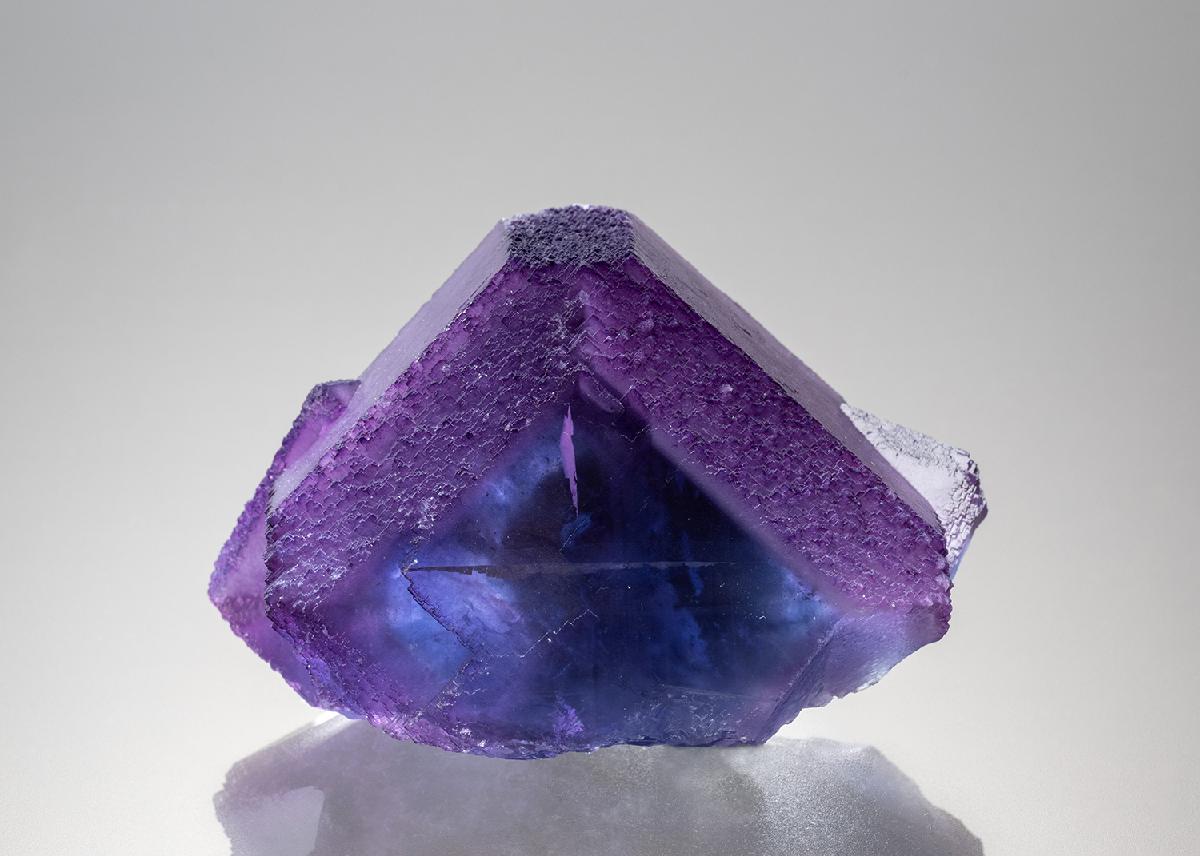 CC34247 specimen image