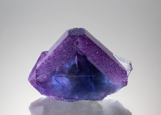 CC34247 specimen image