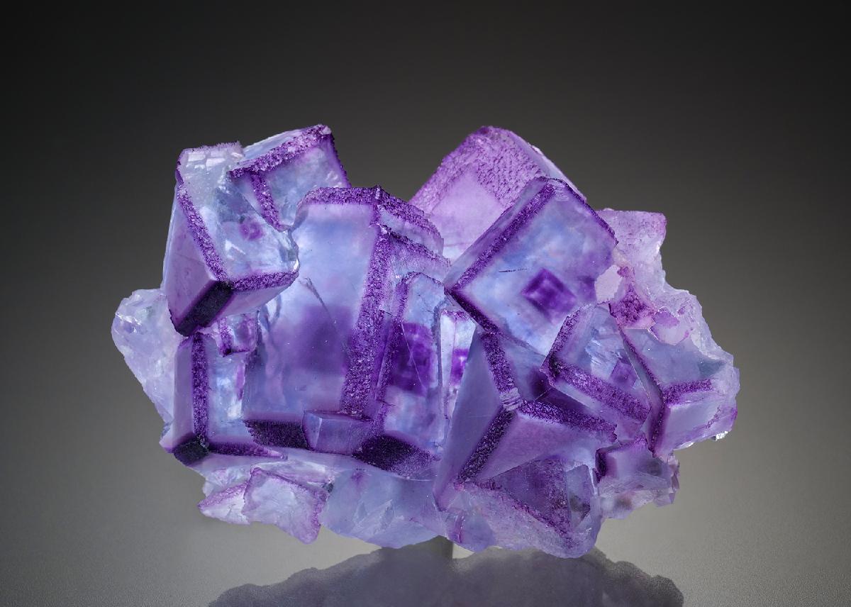 CC34250 specimen image