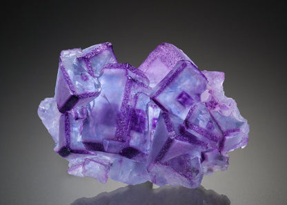 CC34250 specimen image