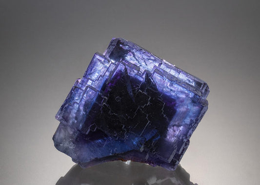 CC34262 specimen image